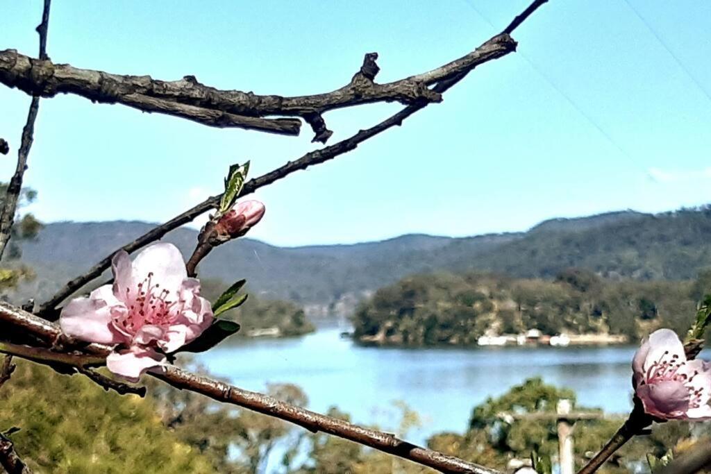 Seafarers Landing Bar Point Nsw Villa Bagian luar foto